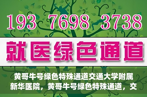 黄哥牛号绿色特殊通道交通大学附属新华医院，黄哥牛号绿色特殊通道，交通大学附属新华医院的探索与实践