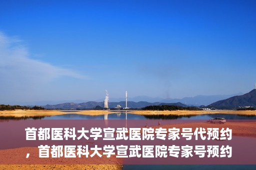首都医科大学宣武医院专家号代预约，首都医科大学宣武医院专家号预约代办服务解析