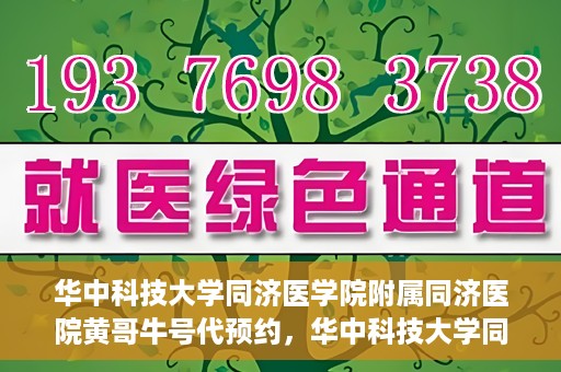 华中科技大学同济医学院附属同济医院黄哥牛号代预约，华中科技大学同济医院黄哥牛号预约服务解析
