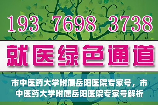 市中医药大学附属岳阳医院专家号，市中医药大学附属岳阳医院专家号解析，权威医疗团队的专业解读与诊疗体验分享