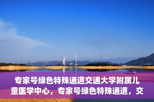 专家号绿色特殊通道交通大学附属儿童医学中心，专家号绿色特殊通道，交通大学附属儿童医学中心的专业服务体验