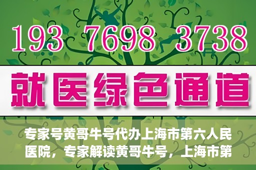 专家号黄哥牛号代办上海市第六人民医院，专家解读黄哥牛号，上海市第六人民医院代办服务深度解析