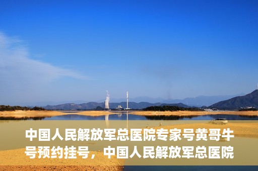 中国人民解放军总医院专家号黄哥牛号预约挂号，中国人民解放军总医院黄哥牛号专家号预约挂号攻略