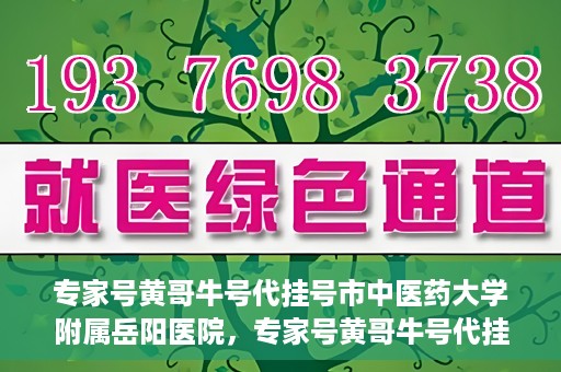 专家号黄哥牛号代挂号市中医药大学附属岳阳医院，专家号黄哥牛号代挂号服务在岳阳医院，深度解读与预约指南