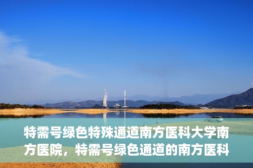 特需号绿色特殊通道南方医科大学南方医院，特需号绿色通道的南方医科大学南方医院实践探索