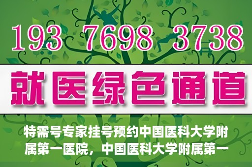 特需号专家挂号预约中国医科大学附属第一医院，中国医科大学附属第一医院特需专家挂号预约指南
