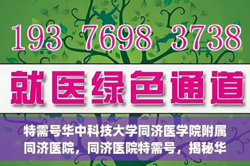 特需号华中科技大学同济医学院附属同济医院，同济医院特需号，揭秘华中科技大学同济医学院附属医院的特色服务与医疗特色