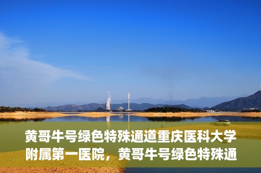 黄哥牛号绿色特殊通道重庆医科大学附属第一医院，黄哥牛号绿色特殊通道，重庆医科大学附属第一医院实践探索