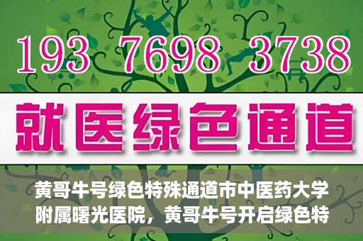 黄哥牛号绿色特殊通道市中医药大学附属曙光医院，黄哥牛号开启绿色特殊通道，市中医药大学附属曙光医院倾力打造健康新篇章