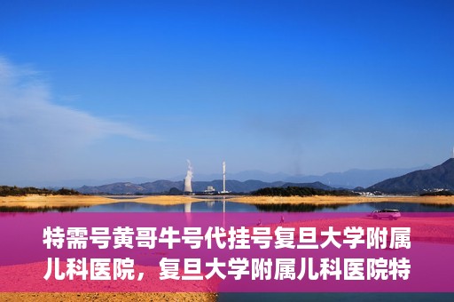 特需号黄哥牛号代挂号复旦大学附属儿科医院，复旦大学附属儿科医院特需号黄哥牛号代挂号解析