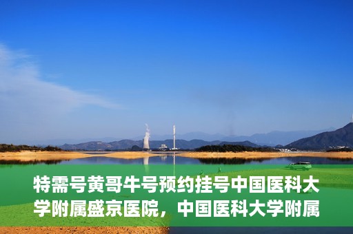 特需号黄哥牛号预约挂号中国医科大学附属盛京医院，中国医科大学附属盛京医院特需号黄哥牛号预约挂号指南