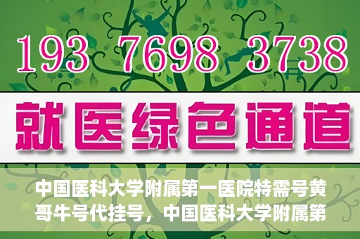 中国医科大学附属第一医院特需号黄哥牛号代挂号，中国医科大学附属第一医院特需号黄哥牛号代挂号服务解析