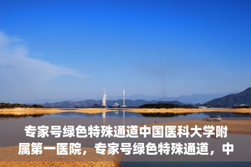 专家号绿色特殊通道中国医科大学附属第一医院，专家号绿色特殊通道，中国医科大学附属第一医院医疗服务的创新实践