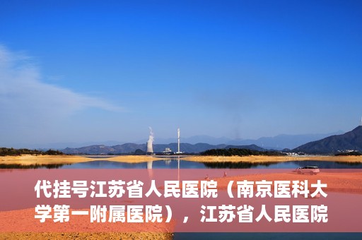 代挂号江苏省人民医院（南京医科大学第一附属医院），江苏省人民医院代挂号服务详解，一站式解决就医难题