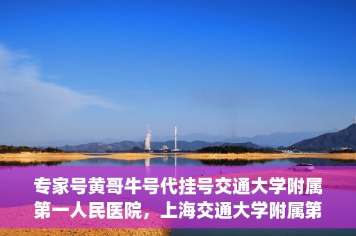 专家号黄哥牛号代挂号交通大学附属第一人民医院，上海交通大学附属第一人民医院专家号黄哥牛号代挂号服务解析