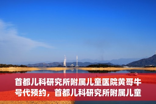 首都儿科研究所附属儿童医院黄哥牛号代预约，首都儿科研究所附属儿童医院黄哥预约服务详解