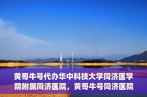 黄哥牛号代办华中科技大学同济医学院附属同济医院，黄哥牛号同济医院代办服务，专业助力就医无忧！