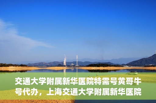 交通大学附属新华医院特需号黄哥牛号代办，上海交通大学附属新华医院特需号代办服务解析——黄哥牛号助您轻松就医