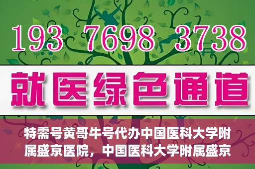 特需号黄哥牛号代办中国医科大学附属盛京医院，中国医科大学附属盛京医院特需号黄哥牛号代办服务详解