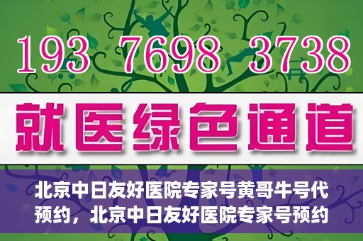 北京中日友好医院专家号黄哥牛号代预约，北京中日友好医院专家号预约服务解析，黄哥牛号代预约详解