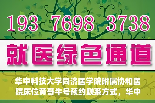 华中科技大学同济医学院附属协和医院床位黄哥牛号预约联系方式，华中科技大学同济医学院附属协和医院床位预约信息及联系方式解析