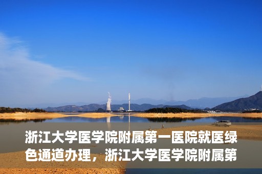 浙江大学医学院附属第一医院就医绿色通道办理，浙江大学医学院附属第一医院就医绿色通道详解与办理指南