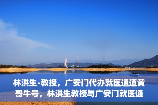 林洪生-教授，广安门代办就医通道黄哥牛号，林洪生教授与广安门就医通道黄哥牛号的探索之路