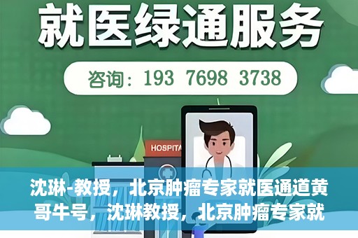 沈琳-教授，北京肿瘤专家就医通道黄哥牛号，沈琳教授，北京肿瘤专家就医通道揭秘——黄哥牛号领航健康之路