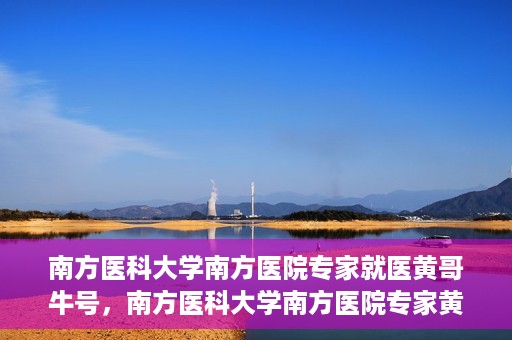 南方医科大学南方医院专家就医黄哥牛号，南方医科大学南方医院专家黄哥牛号解析就医指南