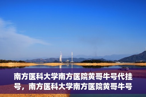 南方医科大学南方医院黄哥牛号代挂号，南方医科大学南方医院黄哥牛号挂号攻略，轻松解决代挂号问题