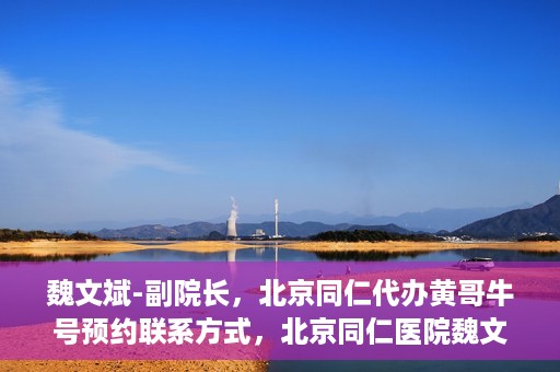魏文斌-副院长，北京同仁代办黄哥牛号预约联系方式，北京同仁医院魏文斌副院长，黄哥牛号预约联系方式权威发布