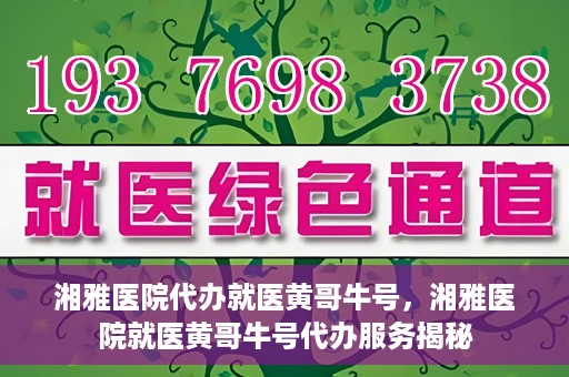 湘雅医院代办就医黄哥牛号，湘雅医院就医黄哥牛号代办服务揭秘