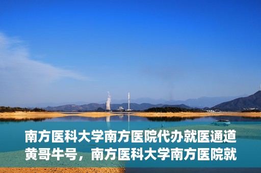 南方医科大学南方医院代办就医通道黄哥牛号，南方医科大学南方医院就医通道代办服务揭秘，黄哥牛号引领便捷就医新风尚