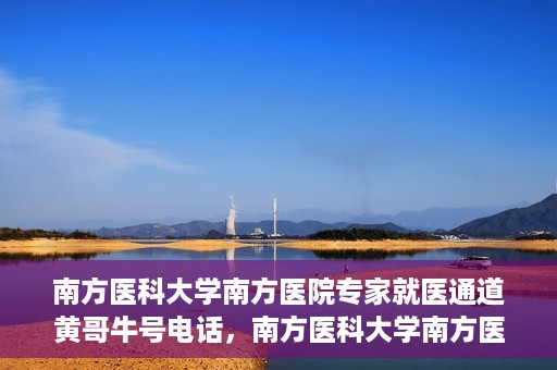 南方医科大学南方医院专家就医通道黄哥牛号电话，南方医科大学南方医院专家就医通道揭秘，黄哥牛号电话专线开通
