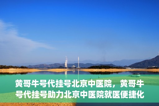 黄哥牛号代挂号北京中医院，黄哥牛号代挂号助力北京中医院就医便捷化
