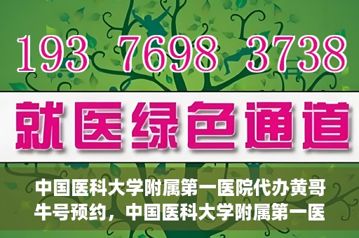 中国医科大学附属第一医院代办黄哥牛号预约，中国医科大学附属第一医院预约挂号代办服务解析——黄哥牛号预约揭秘