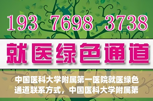 中国医科大学附属第一医院就医绿色通道联系方式，中国医科大学附属第一医院就医绿色通道服务热线及联系方式详解