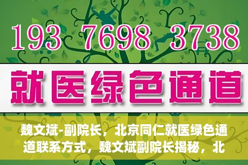 魏文斌-副院长，北京同仁就医绿色通道联系方式，魏文斌副院长揭秘，北京同仁就医绿色通道联系方式及更多实用信息