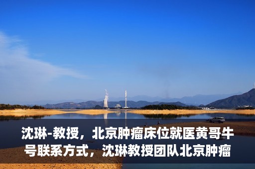 沈琳-教授，北京肿瘤床位就医黄哥牛号联系方式，沈琳教授团队北京肿瘤床位就医联系方式及黄哥牛号揭秘