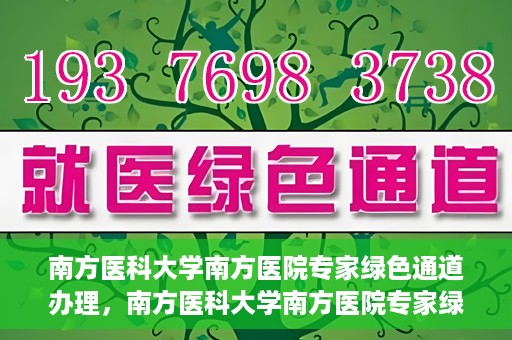 南方医科大学南方医院专家绿色通道办理，南方医科大学南方医院专家绿色通道办理详解