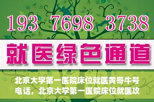 北京大学第一医院床位就医黄哥牛号电话，北京大学第一医院床位就医攻略，黄哥牛号电话全解析