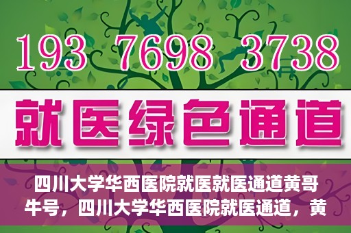四川大学华西医院就医就医通道黄哥牛号，四川大学华西医院就医通道，黄哥牛号引领就医新纪元