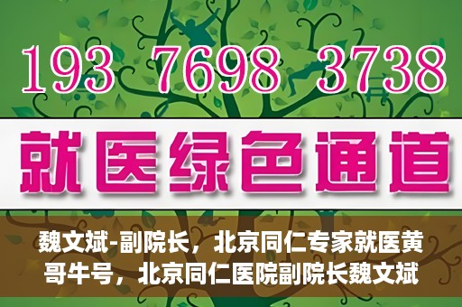魏文斌-副院长，北京同仁专家就医黄哥牛号，北京同仁医院副院长魏文斌，黄哥牛号背后的专家就医解读