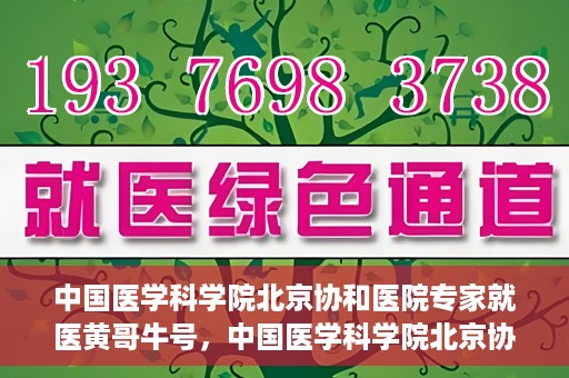 中国医学科学院北京协和医院专家就医黄哥牛号，中国医学科学院北京协和医院专家就医攻略，黄哥牛号解析
