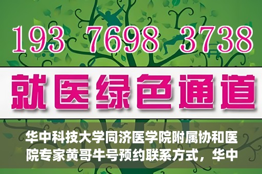 华中科技大学同济医学院附属协和医院专家黄哥牛号预约联系方式，华中科技大学同济医学院附属协和医院专家黄哥牛预约挂号联系方式揭秘