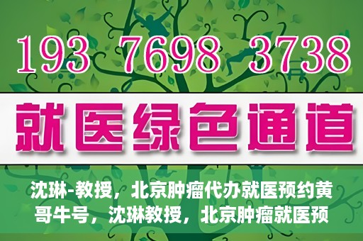 沈琳-教授，北京肿瘤代办就医预约黄哥牛号，沈琳教授，北京肿瘤就医预约背后的故事——黄哥牛号揭秘