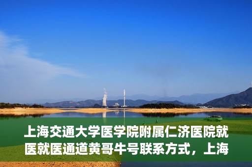 上海交通大学医学院附属仁济医院就医就医通道黄哥牛号联系方式，上海交通大学医学院附属仁济医院就医通道详解，黄哥牛号联系方式揭秘
