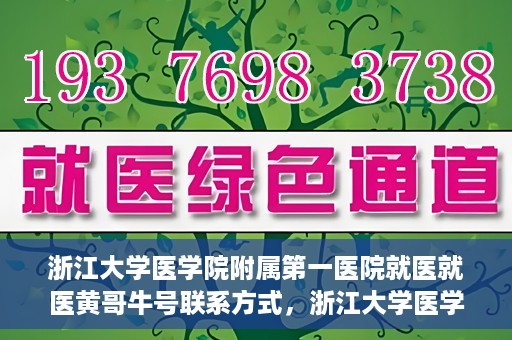 浙江大学医学院附属第一医院就医就医黄哥牛号联系方式，浙江大学医学院附属第一医院就医攻略，黄哥牛号联系方式全解析