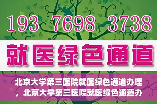 北京大学第三医院就医绿色通道办理，北京大学第三医院就医绿色通道办理详解，一站式解决您的就医难题