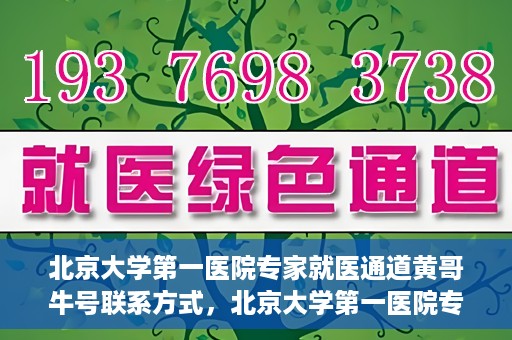 北京大学第一医院专家就医通道黄哥牛号联系方式，北京大学第一医院专家就医通道，黄哥牛号联系方式全解析